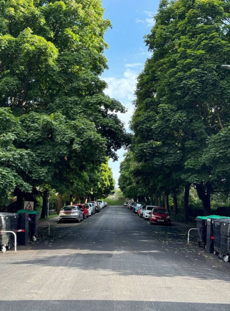 Beautiful Room Available Near Marchmont and Meadows! 