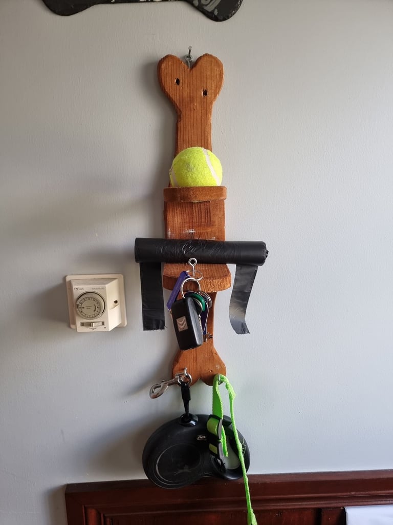 image for Bone shaped dog accessory and key holders 