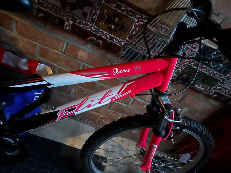 Teen girls / ladies 24 inch bike 