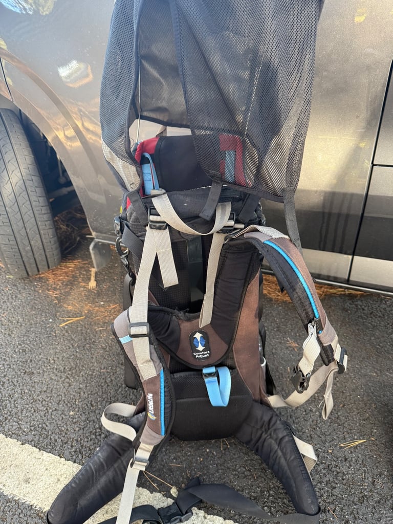Little life baby carrier with shade Rep £180