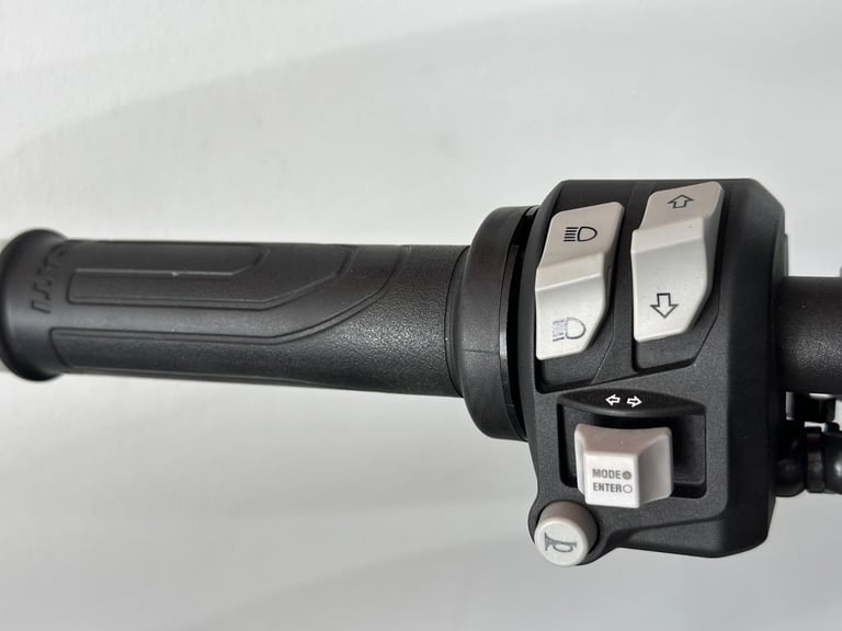 2021 Ducati Scrambler 1100 1100 Pro Euro 5