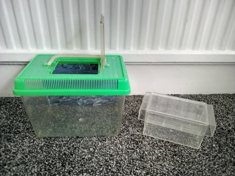 60L glass fish tank, with accessories. 