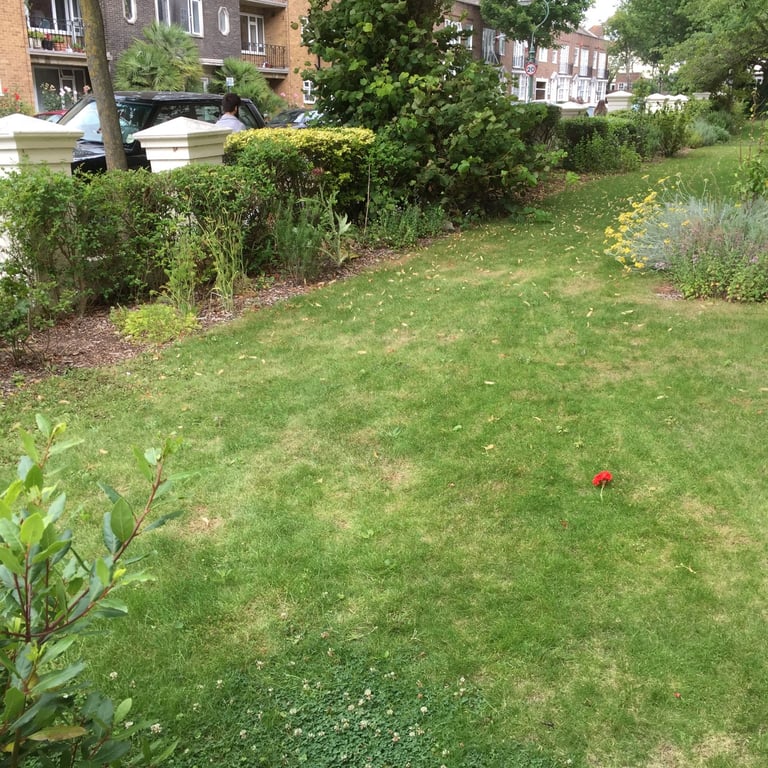 Charming Ground Floor Studio Flat