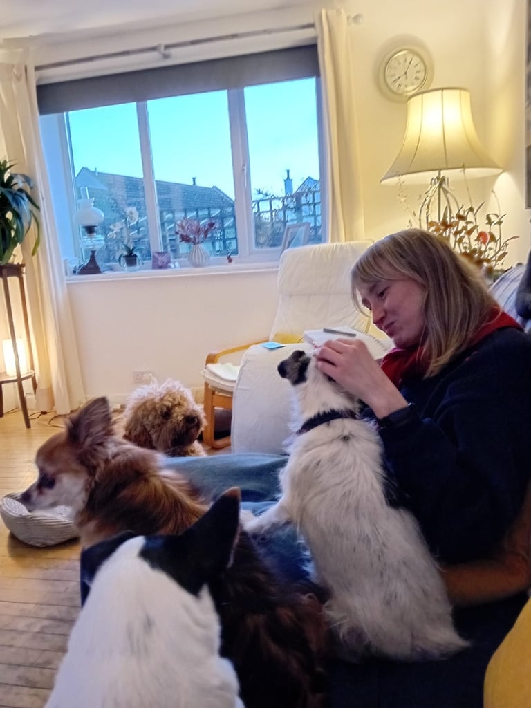 Dog walking services in Anstruther & Cellardyke 