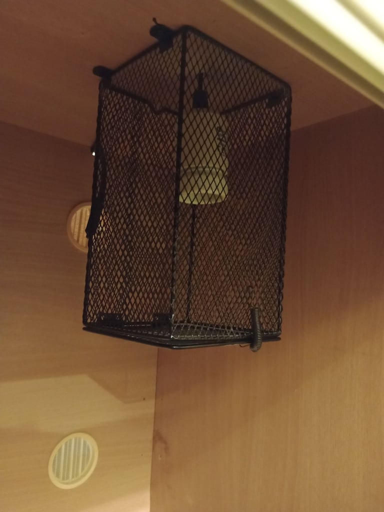 3ft vivarium & accessories 