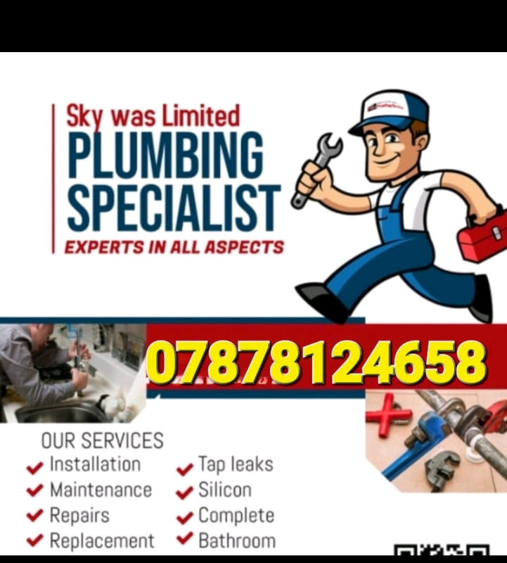 Professional Plumber with Fast Response