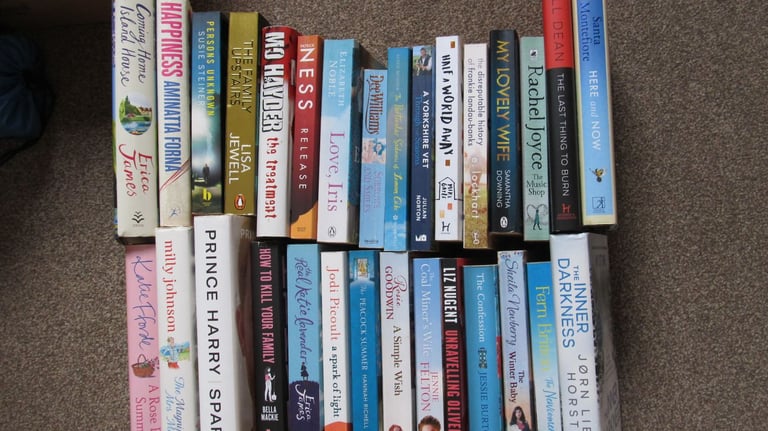 image for Job Lot 30 Adult Fiction Books