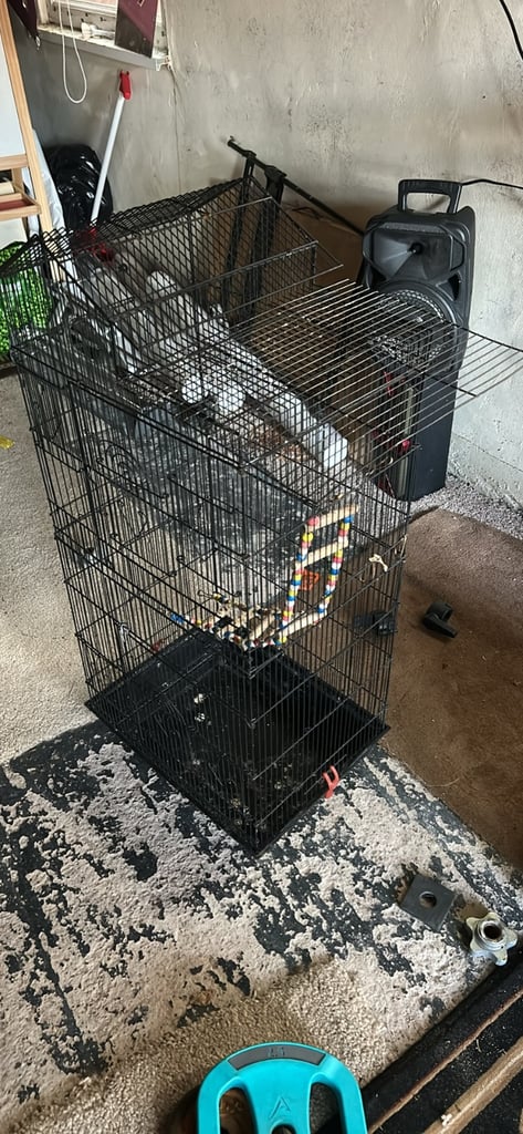 Tall cage for parrot or bird