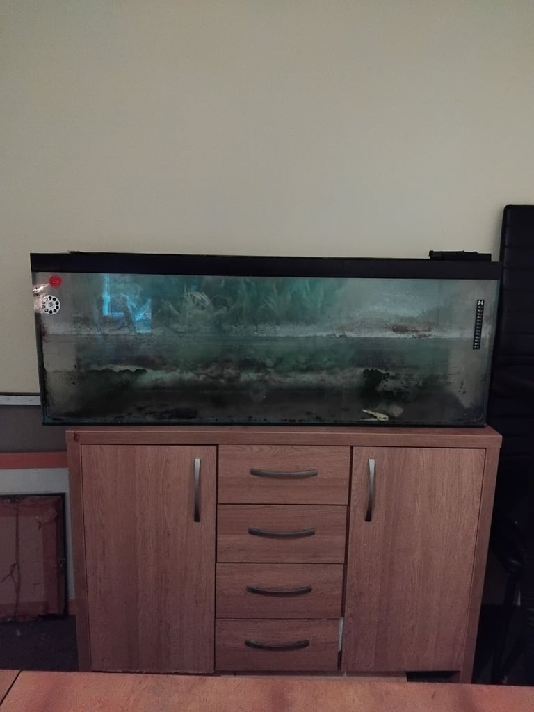Fish tank