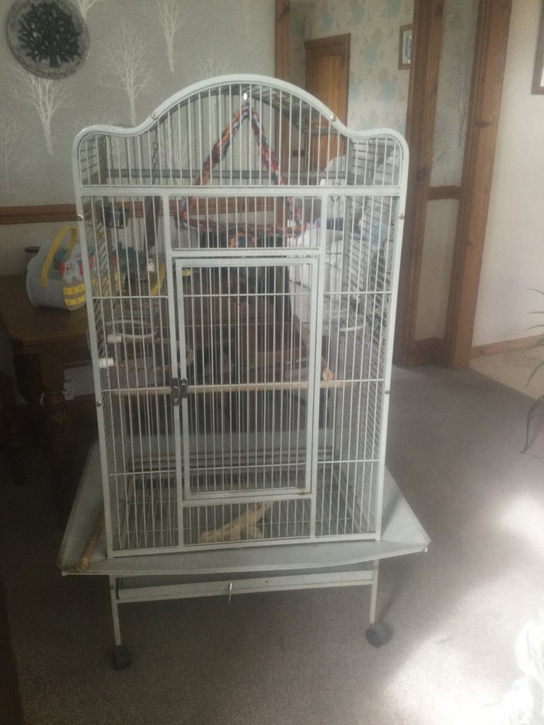 Large parrot cage