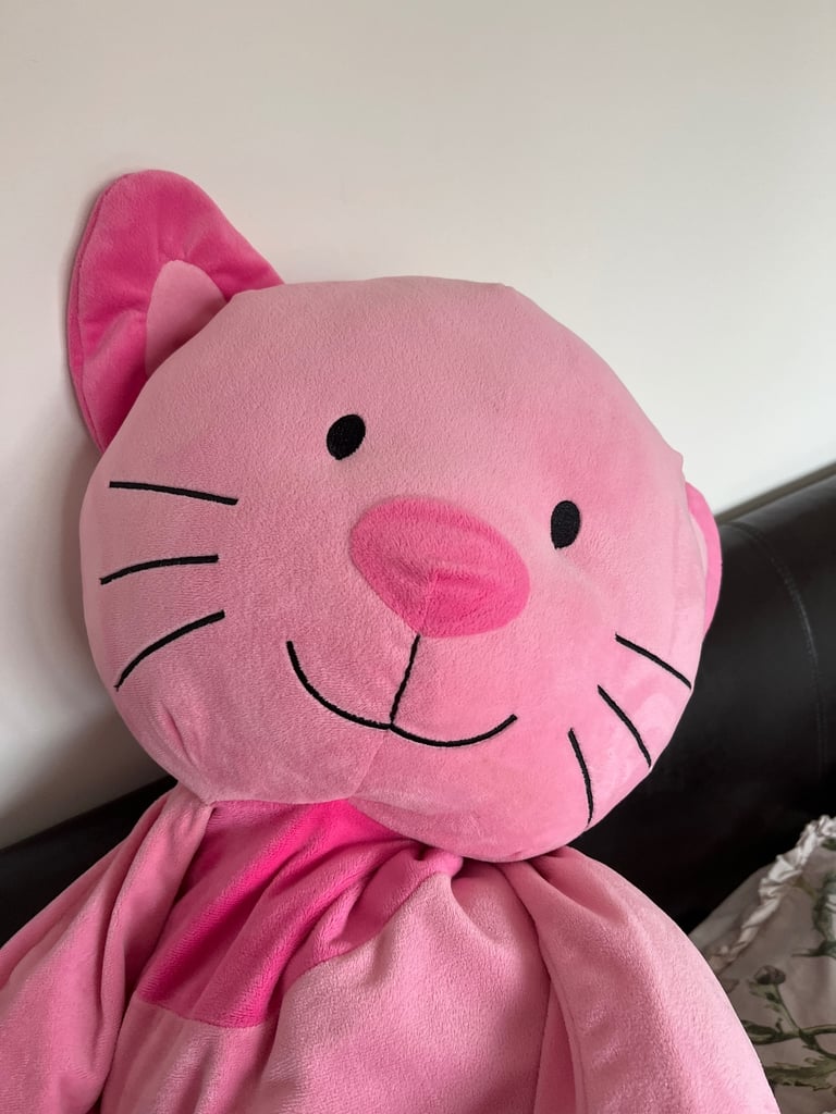Stuffed pink cat 