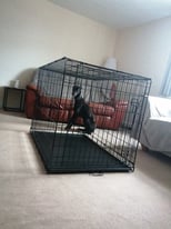 XL Dog Crate for sale 
