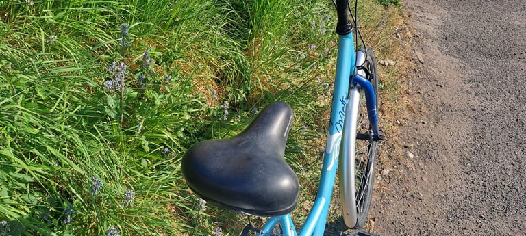 Ladies hybrid townbike 