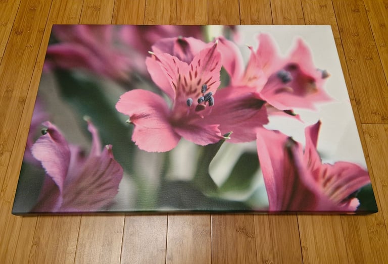 image for Flowers Canvas Wall Art