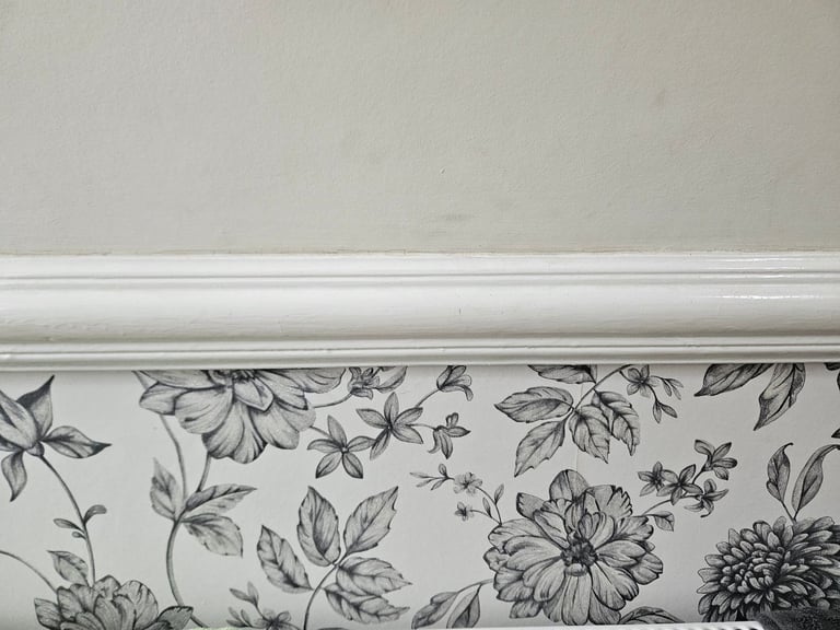 Wanted; Dado Rail