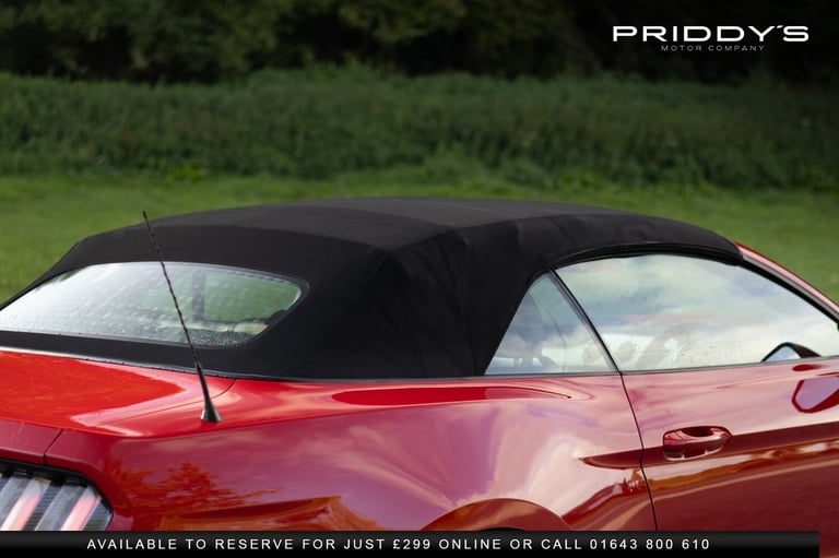 FORD MUSTANG 5.0 V8 GT - 5.0 V8 GT - Roof down, V8 roaring, country roads. It