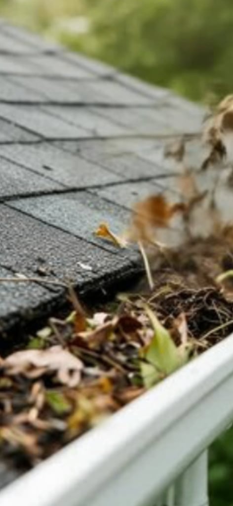 image for Gutters  & fascia cleaning 