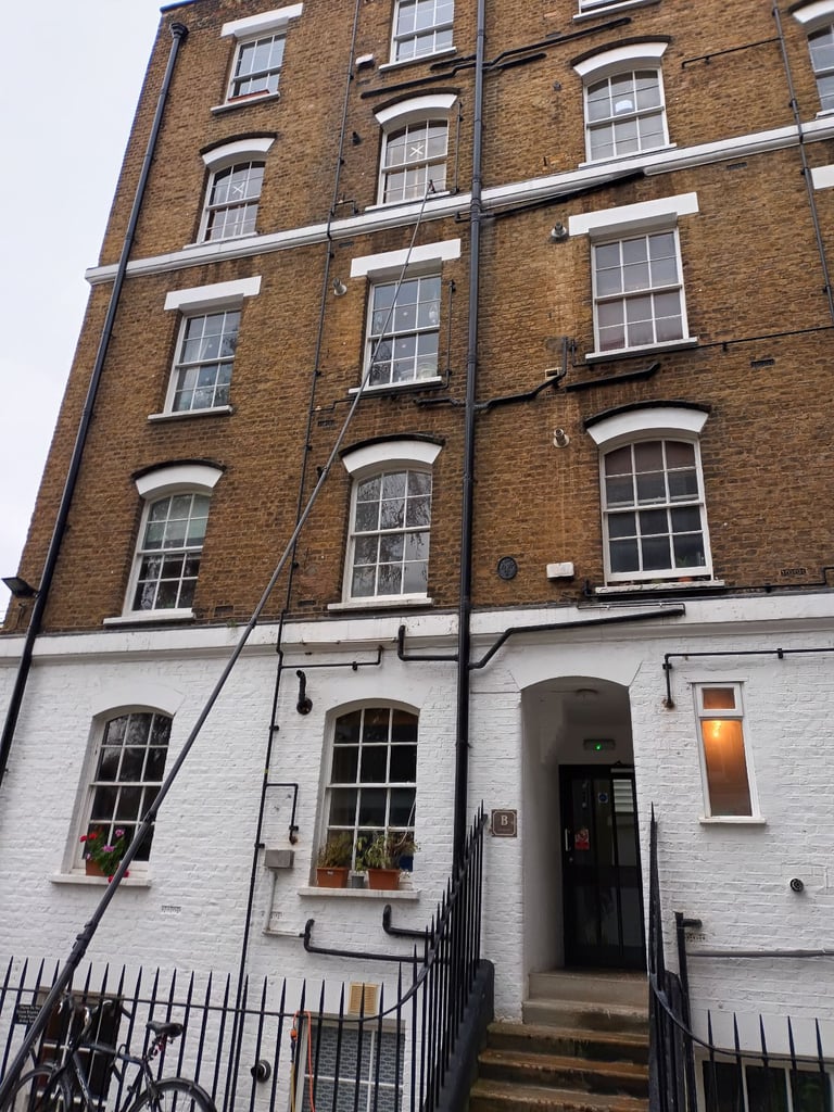 image for Starbright 