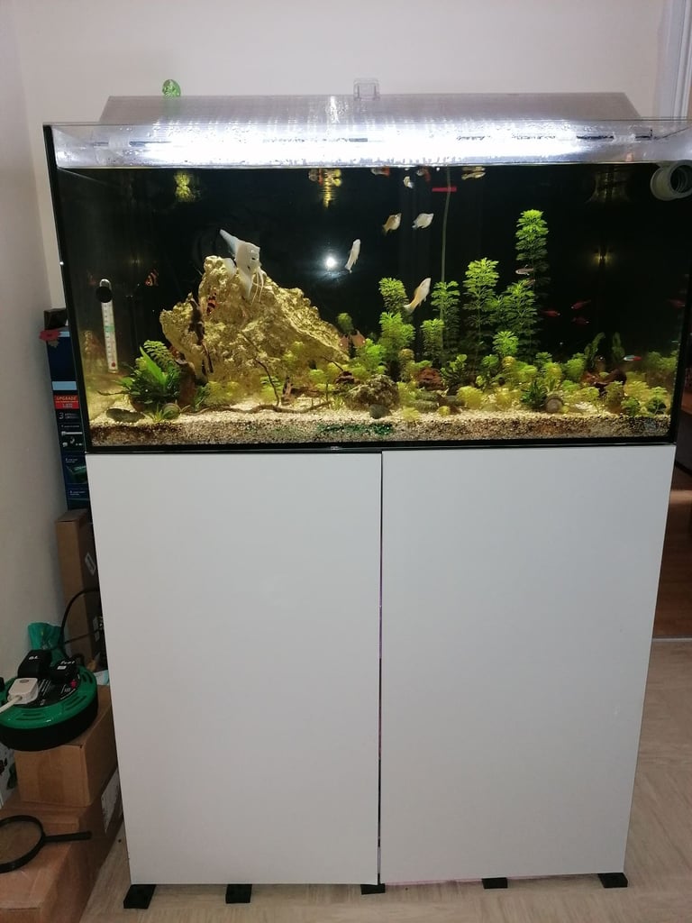 image for Evolution Aqua Reef Fish Tank
