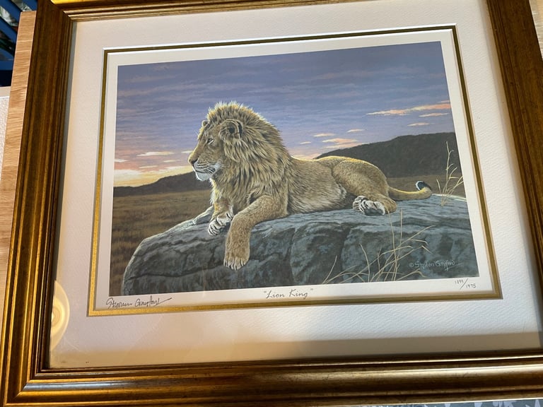 Stephen Gayford Lion King