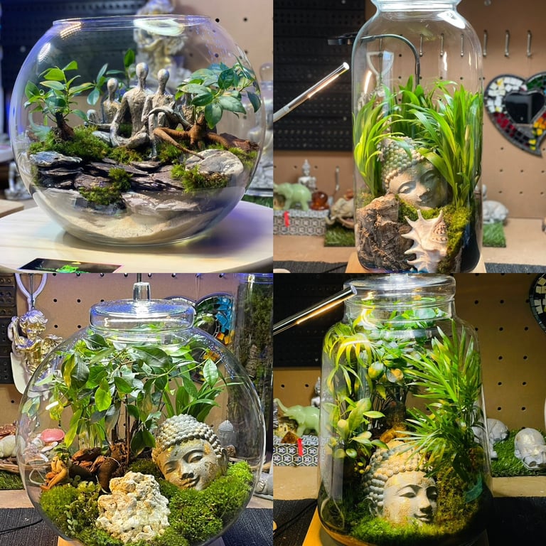 Terrariums Whispering Forest in Southampton, Hampshire Gumtree