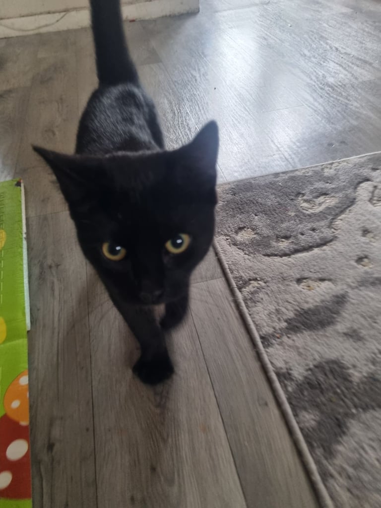 RESERVED. 6 months old. 