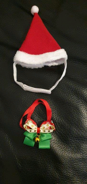 image for Pet Christmas Hat&BowTie (New, Not Used)