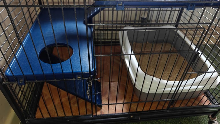Large Cage for Ferrets, Chinchillas or Rats 