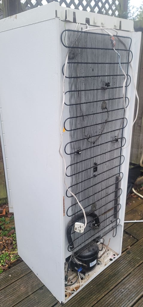 Freezer - upright freezer 