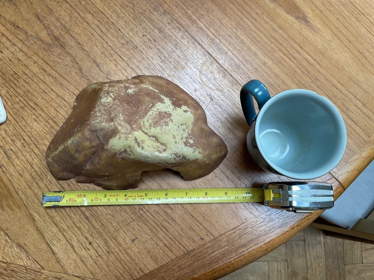 Reptile accessory for vivarium hideaway