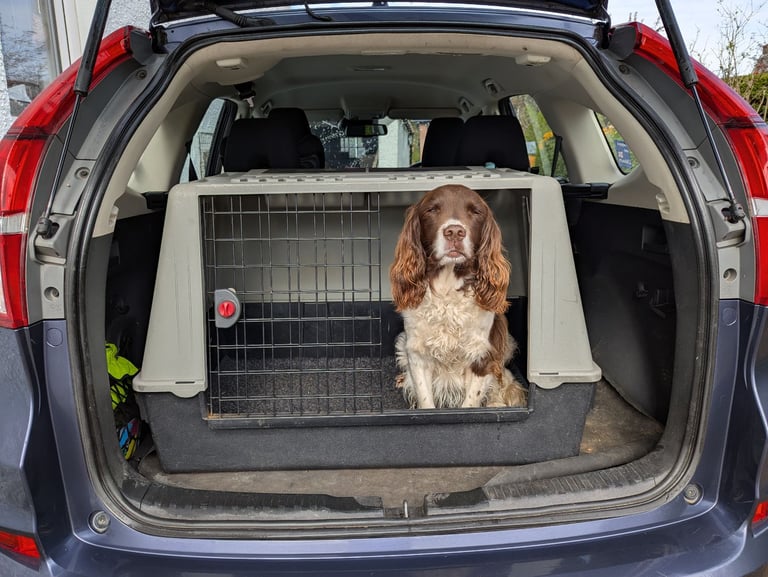  Dog Carrier -Ideal for keeping your dog comfortable in the car.