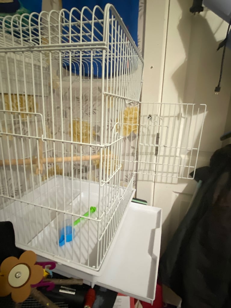 image for Bird cage 