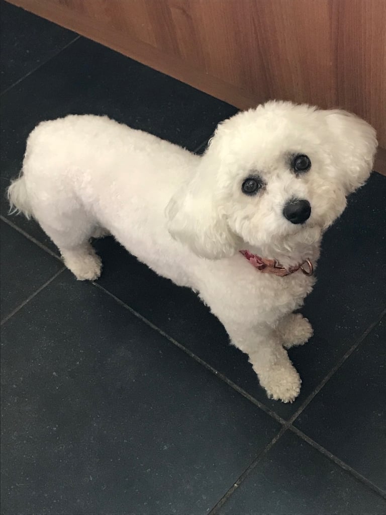 Looking a loving home 