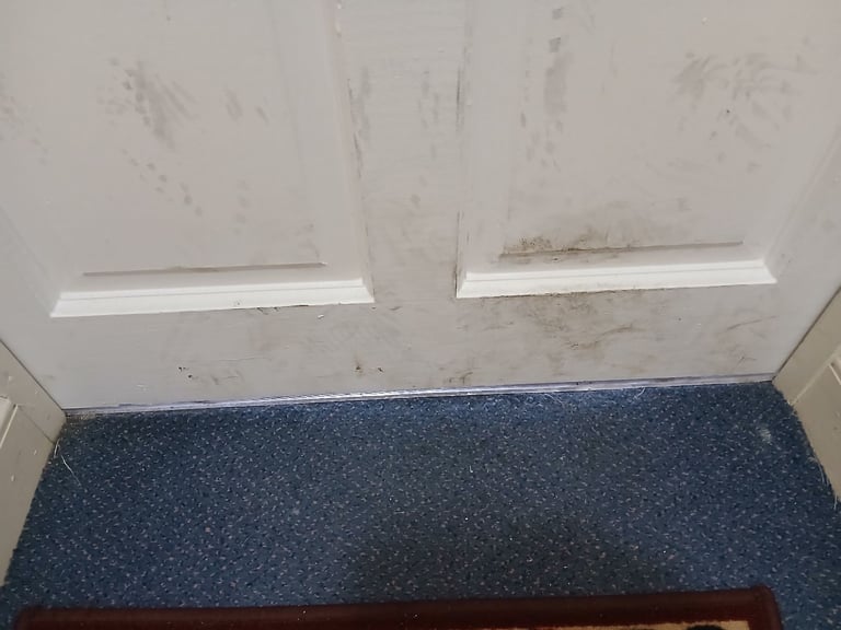 Builders cleaning. End of tenancy, Moving in and moving out. Students let cleaning. Gloucestershire