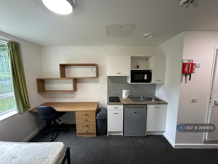 Studio flat in College House, Alum Rock, Birmingham, B8 (#2640855)