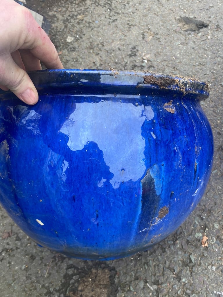 Blue ceramic pots+ White Pot 