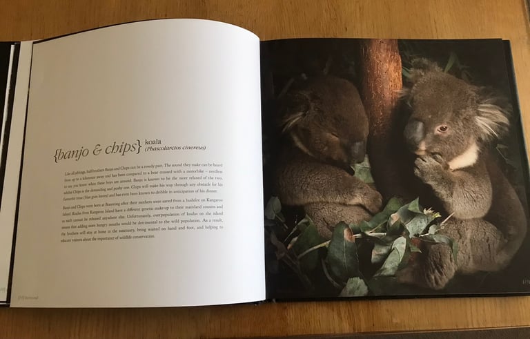 Tasmania Bonorong SancturyBook.Stunning Photos of indigenous Critters 