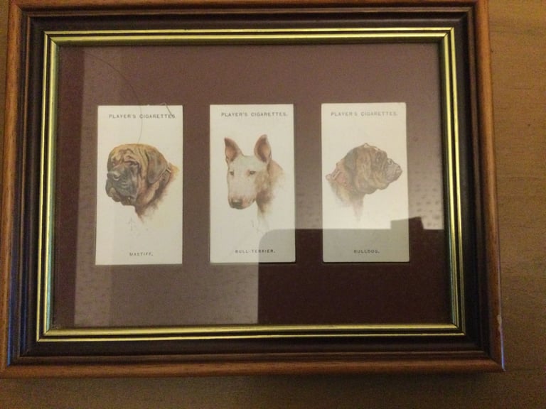 image for 3 Cigarette cards mounted in a frame 6x8 pictures of dogs