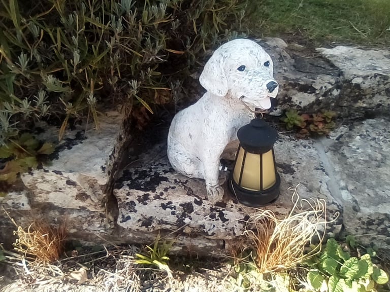 image for Cute doggie garden ornament. Posted in pots & ornaments.