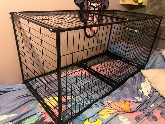 Dog crate in Hungerford, Berkshire Gumtree