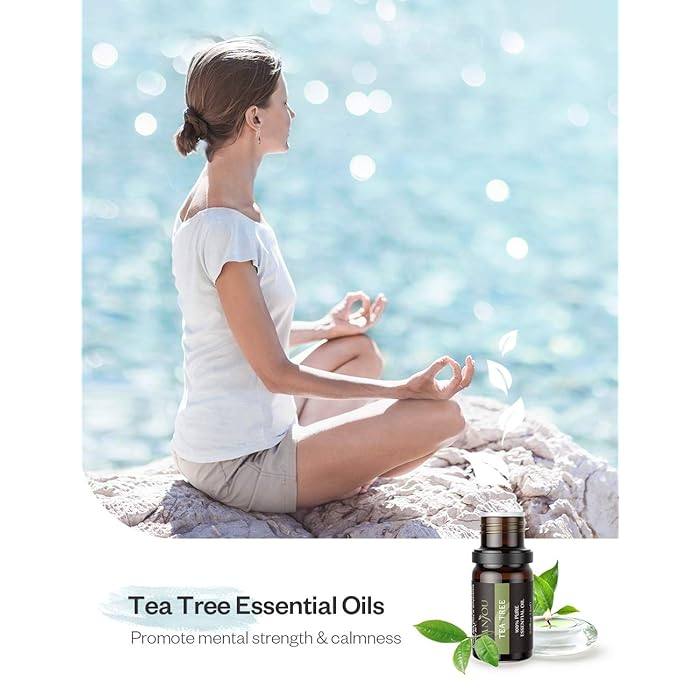 Diffuser & Body Aromatherapy Essential Oils 12pc Gift Set 