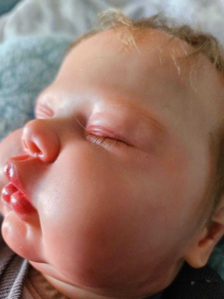 Reborn Pickle doll