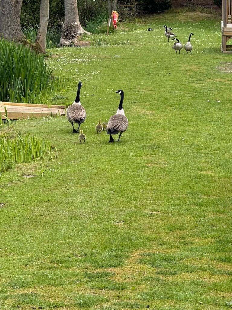 Victory Lakewood Lodge 2022 sited at Brickyard Lakes Country Park in North Yorkshire