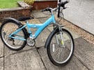 Raleigh twenty four inch blue bike for sale