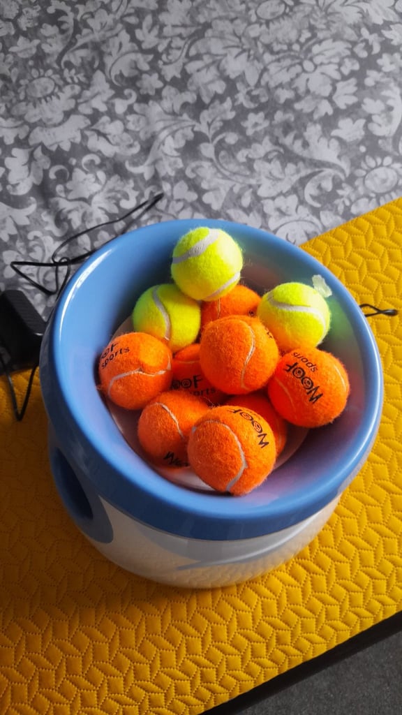 Ball launcher for dog