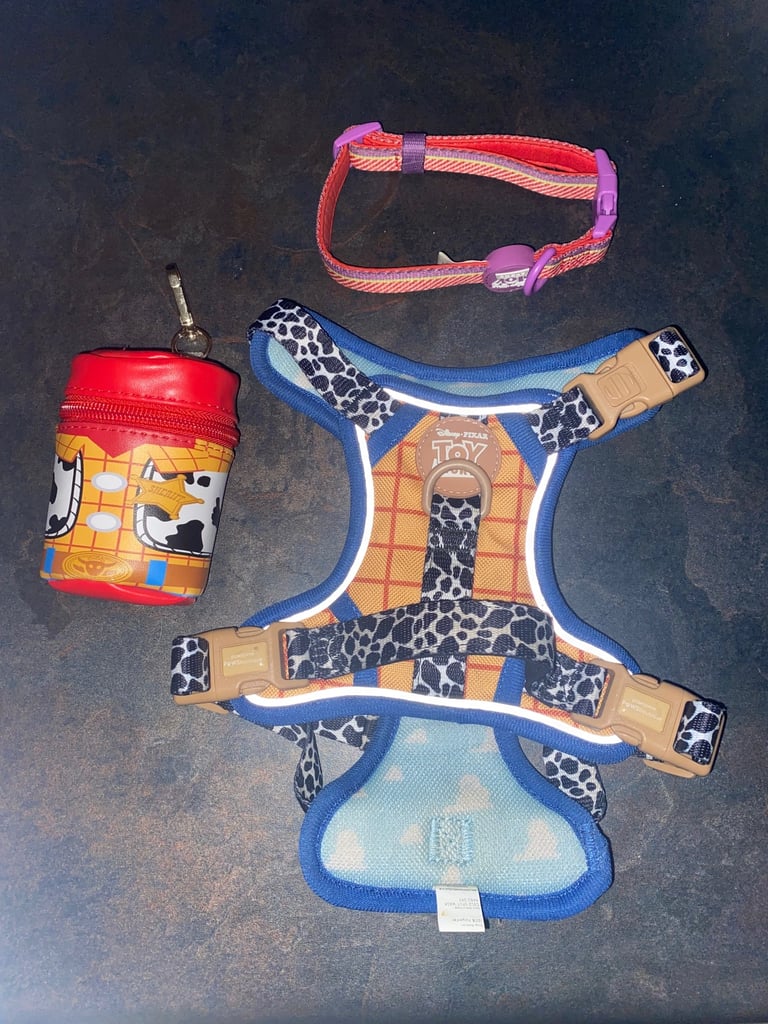 Toy Story Dog Harness Bundle