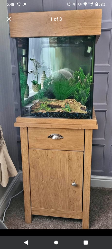Full Setup Aquarium - Fish Tank (85 Litre)