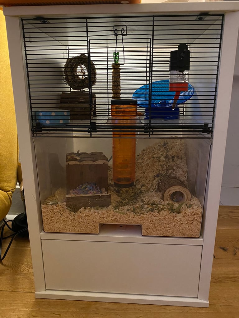 Omlet Hamster Cage complete with everything you need | in Haringey, London  | Gumtree