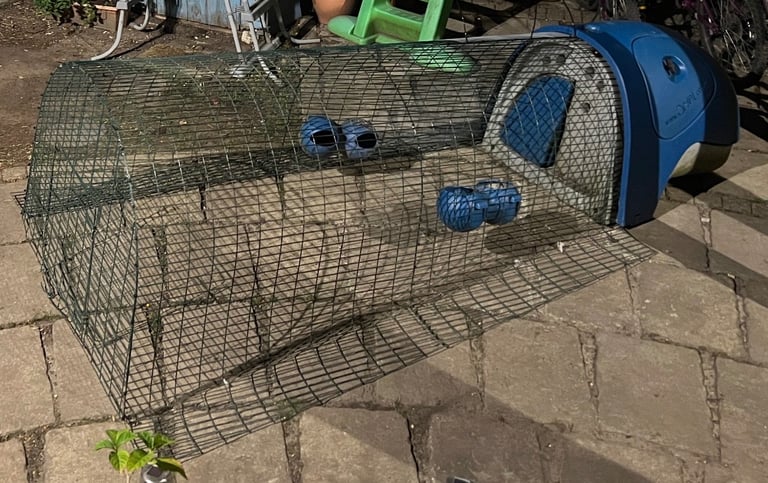 Omlet Eglu Classic Chicken Coop with 2m Run