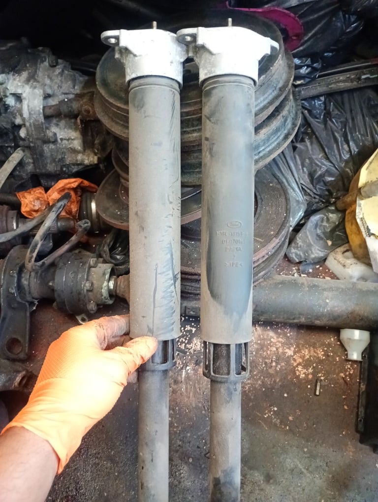 Ford fiesta 2019 rear shocks 
